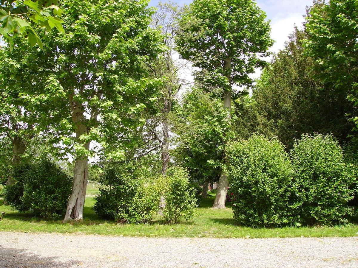 B&B Le Domaine Des Marcoujans Saint-Elix-le-Chateau 外观 照片