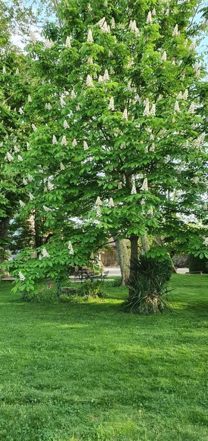 B&B Le Domaine Des Marcoujans Saint-Elix-le-Chateau 外观 照片